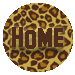 home button