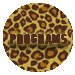 programs button